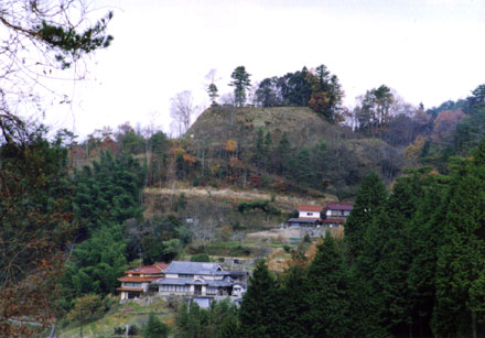 �����ۏ隬