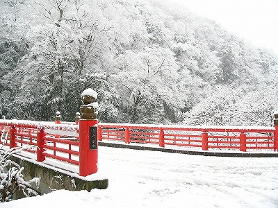 井原市・小田川沿いの写真