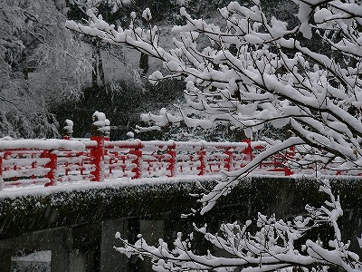 井原市・小田川沿いの写真