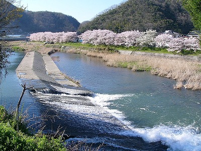 井原市・小田川沿いの写真