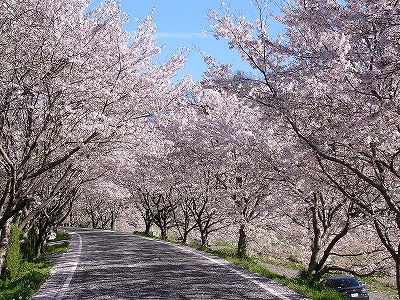 井原市・小田川沿いの写真