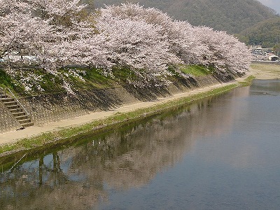 井原市・小田川沿いの写真