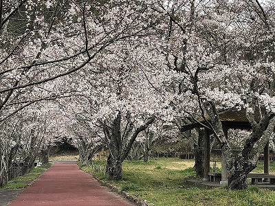 井原市・小田川沿いの写真