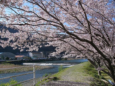 井原市・小田川沿いの写真