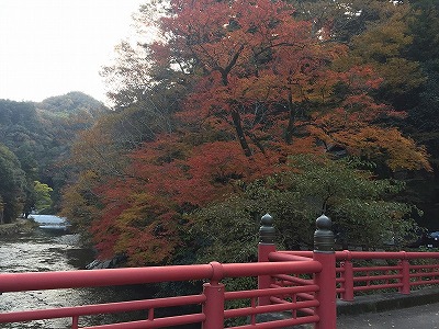 井原市・小田川沿いの写真