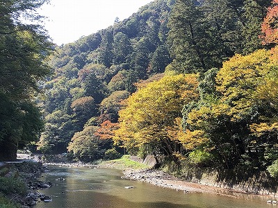 井原市・小田川沿いの写真