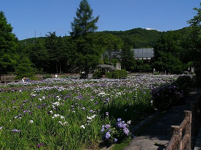 井原市・小田川沿いの写真