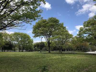 井原市・小田川沿いの写真