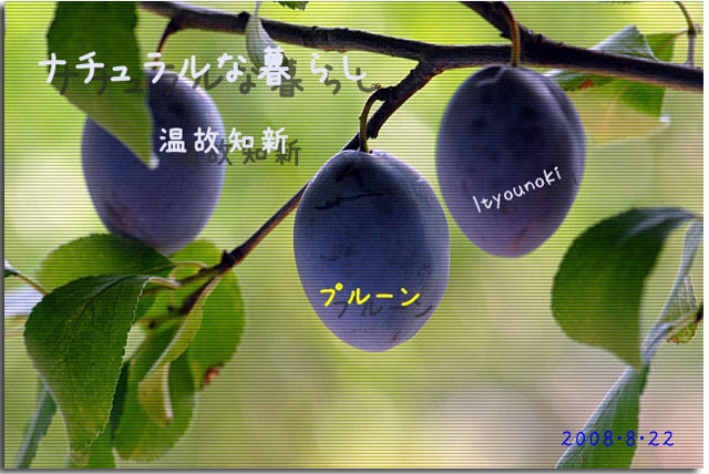 �i�`�������ȕ�炵�\���̒m�V