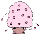 さくら
