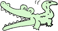 ワニ