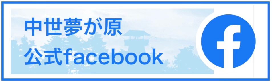 to_facebook
