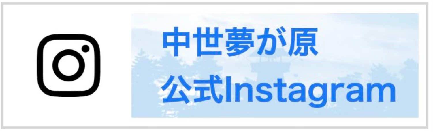 to_insta