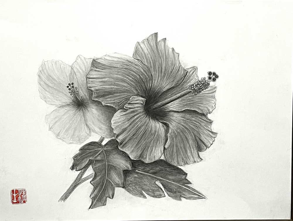 新作1
